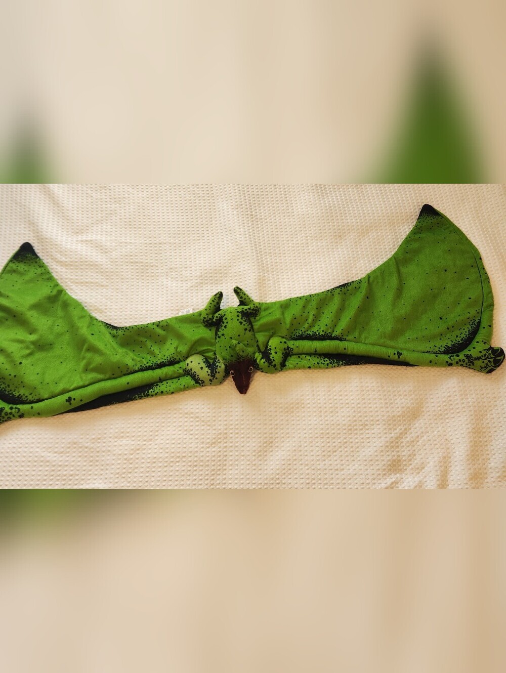 Pterodactyl Kids Costume Wings
